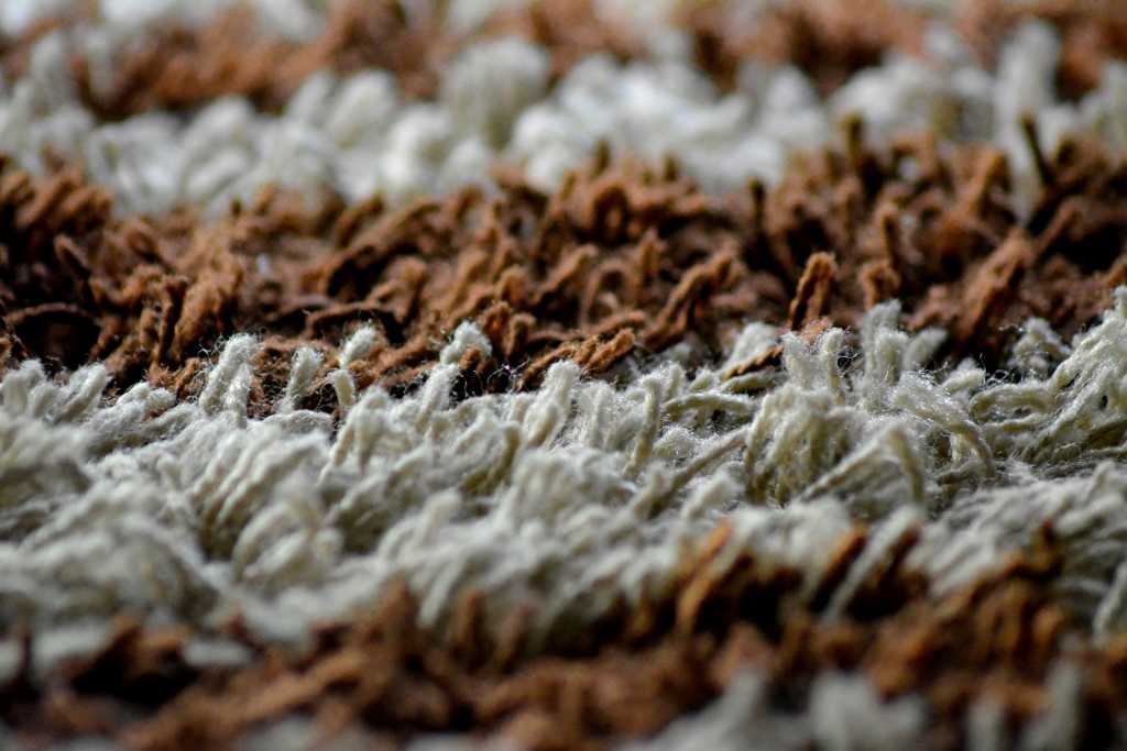 close-up of carpet