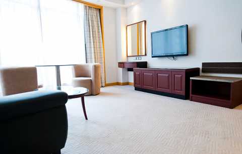 Domestic Carpets - Hotel Room