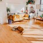 Laminate flooring buying guide